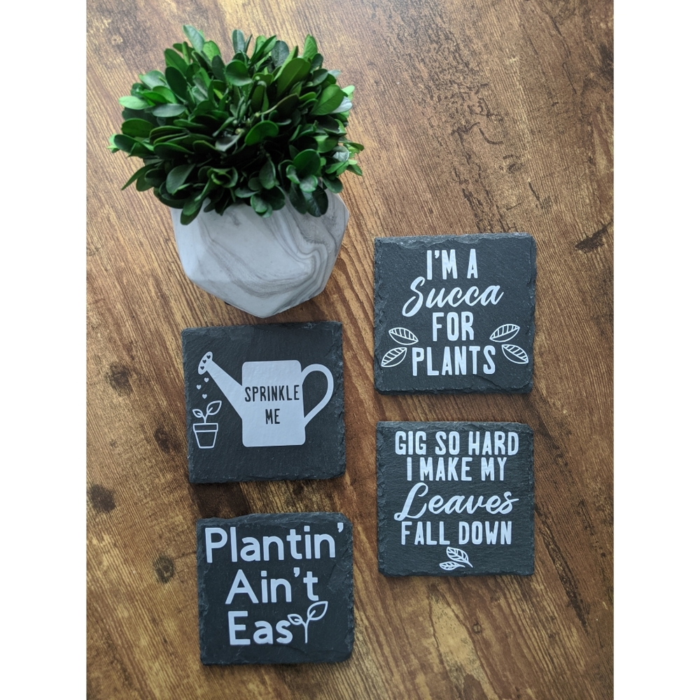 🌿COASTERS 🌿(Plant edition)
